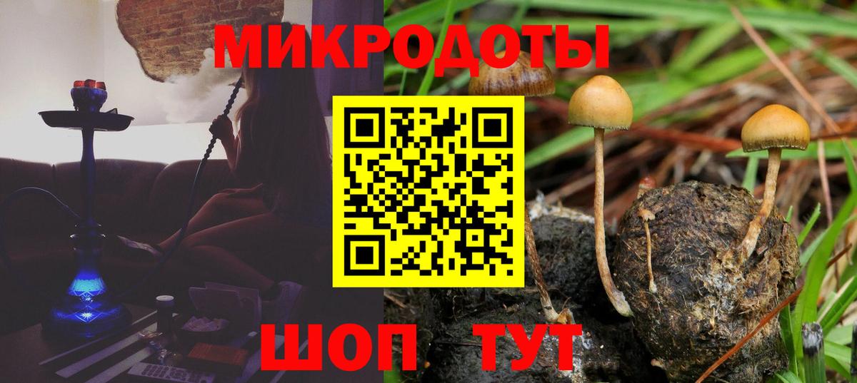 Псилоцибиновые грибы GOLDEN TEACHER Тара