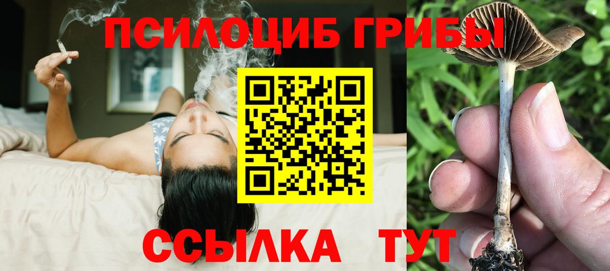 Галлюциногенные грибы GOLDEN TEACHER  Вход с VPN  Тара 